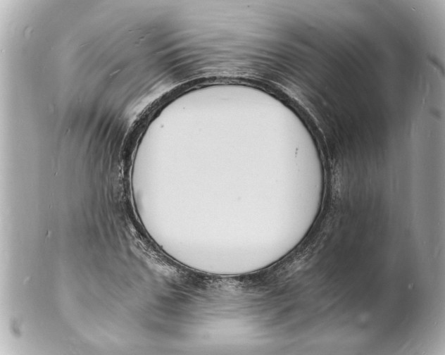 X0000101670971200807311454