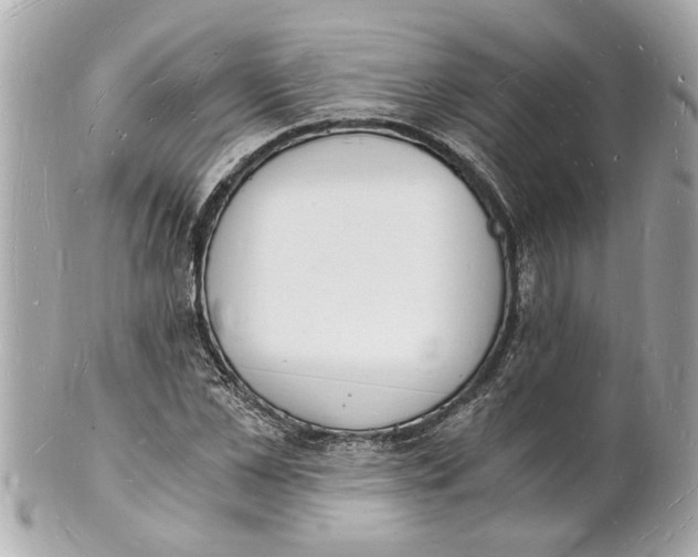 X0000101670973200807311454