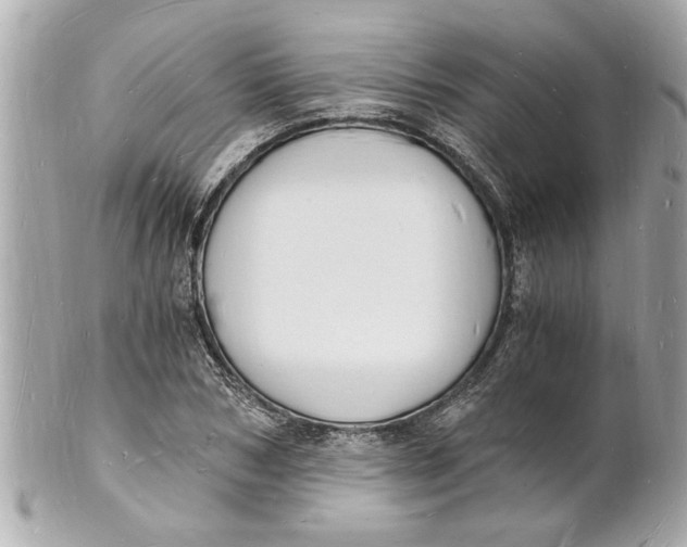 X0000101670978200807311454