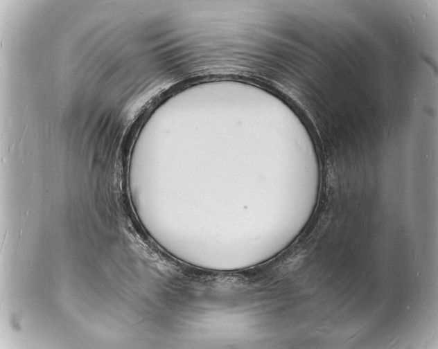 X0000101670979200807311454