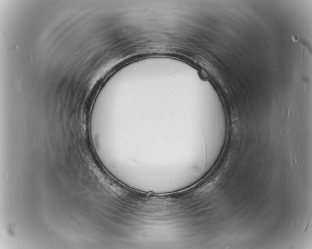X0000101670981200807311454