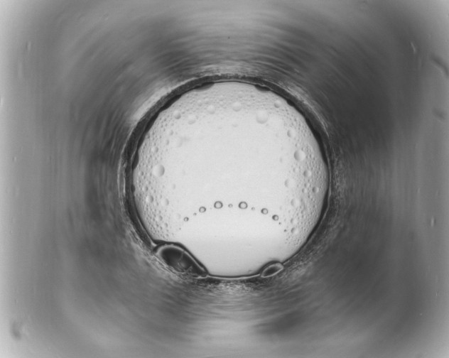 X0000101670983200807311453