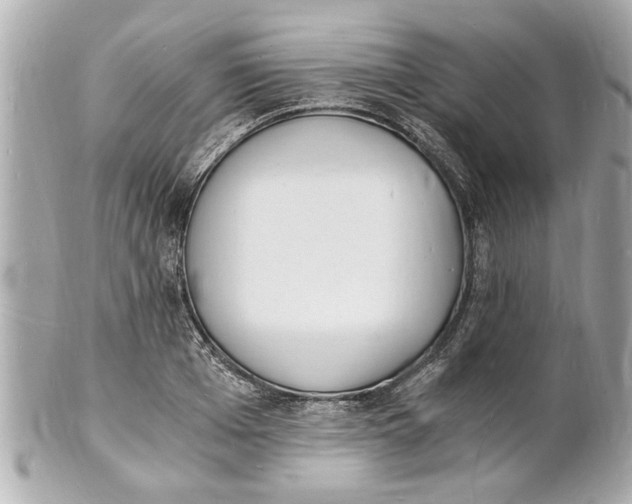 X0000101670985200807311453