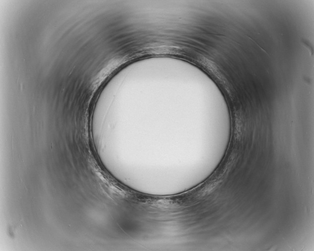 X0000101670986200807311453