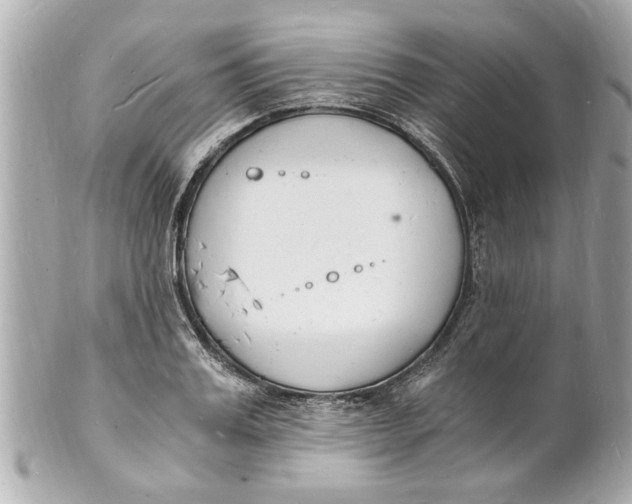 X0000101670987200807311453