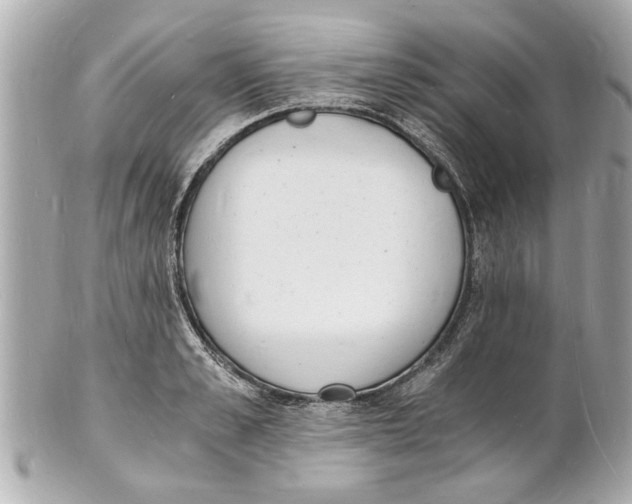 X0000101670989200807311453