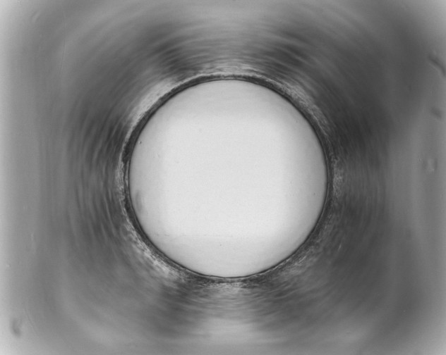 X0000101670990200807311453