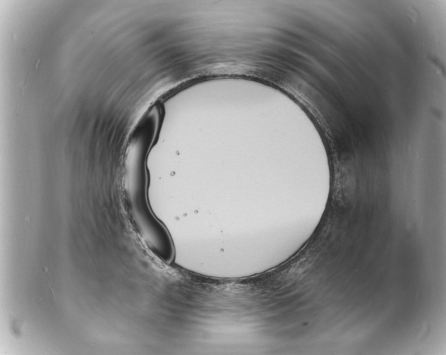 X0000101670992200807311453