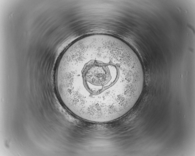 X0000101670995200807311453