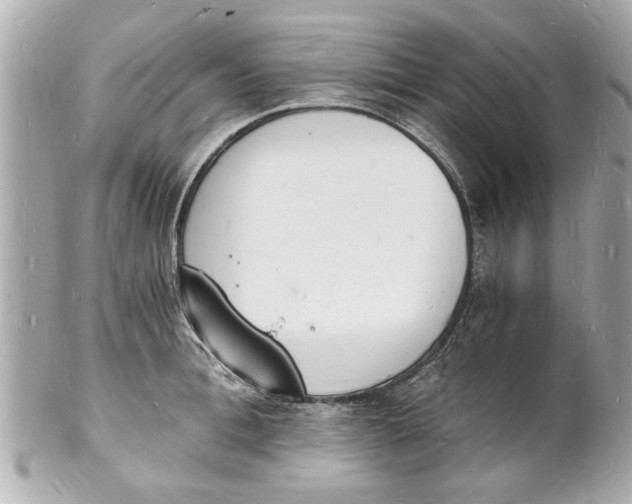 X0000101670996200807311453