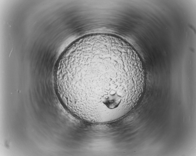 X0000101670998200807311453