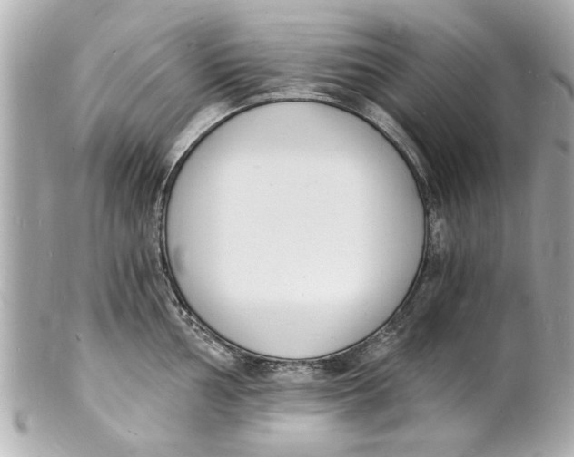 X0000101671002200807311453