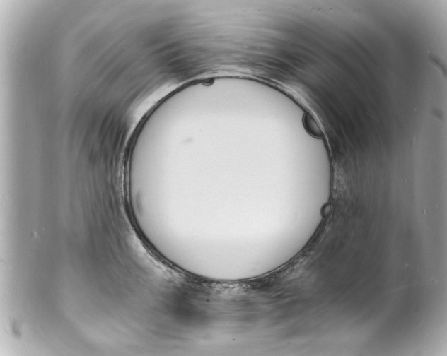 X0000101671003200807311453