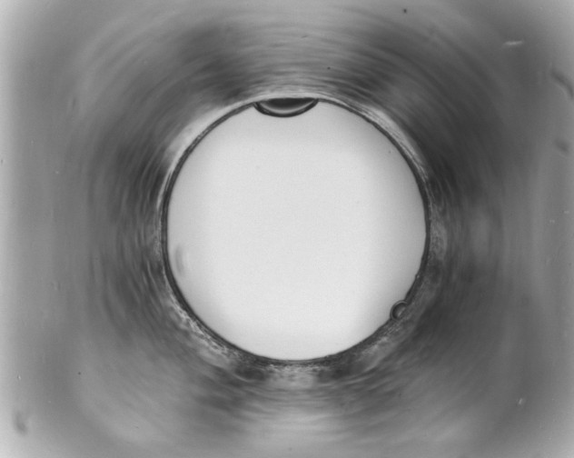 X0000101671004200807311453