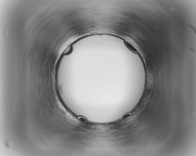 X0000101671005200807311453