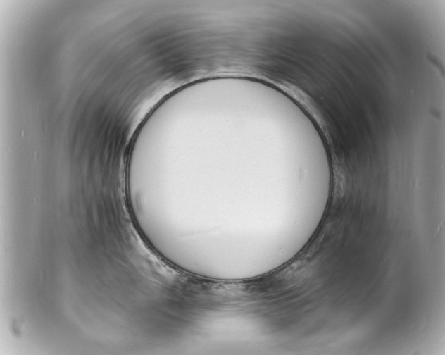 X0000101671006200807311453