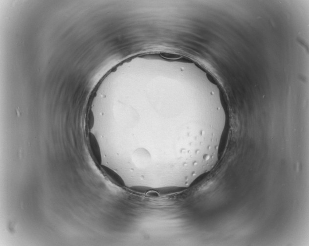 X0000101671007200807311453