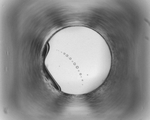 X0000101671008200807311453