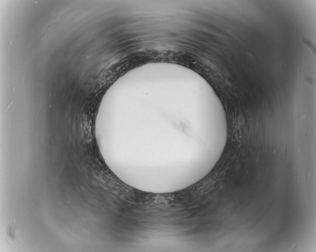 X0000101671013200807311452