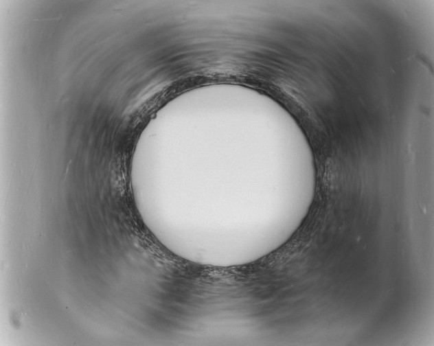 X0000101671015200807311452