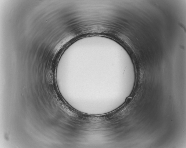 X0000101671018200807311452