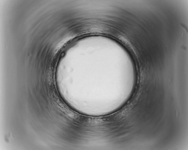 X0000101671019200807311452