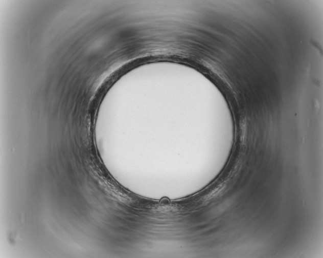 X0000101671021200807311452