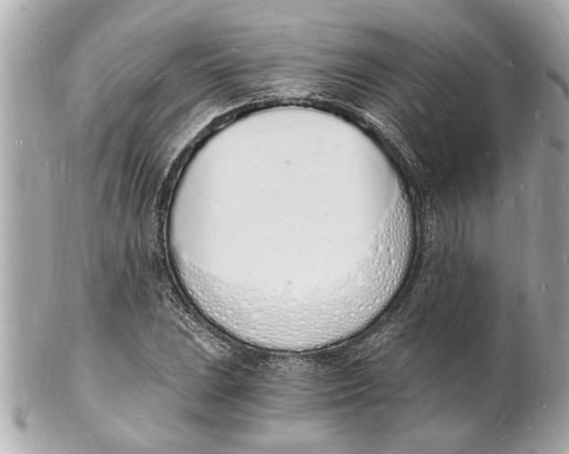 X0000101671023200807311452