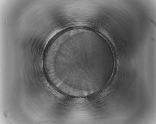 X0000101671024200807311453