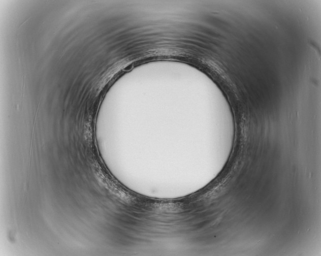 X0000101671025200807311453