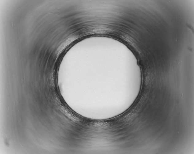X0000101671026200807311453