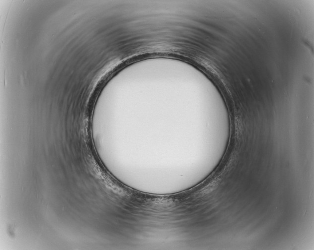 X0000101671029200807311453