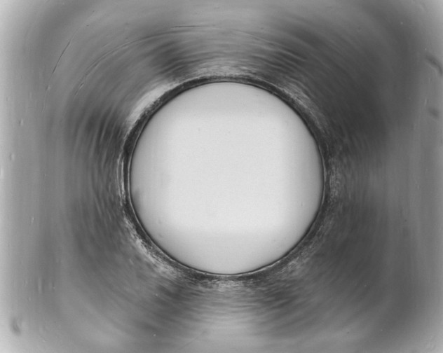 X0000101671030200807311453