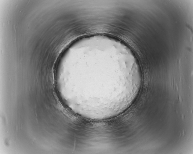 X0000101671031200807311453