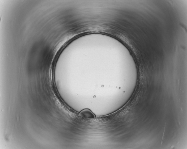 X0000101671032200807311453