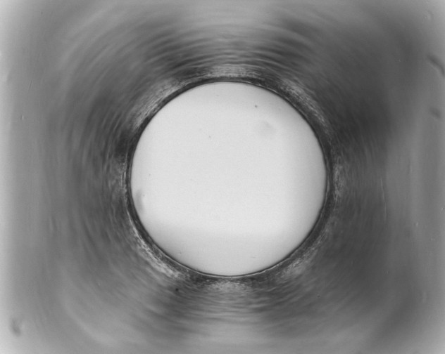 X0000101671033200807311453