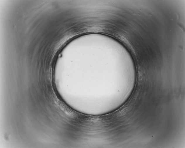 X0000101671035200807311453