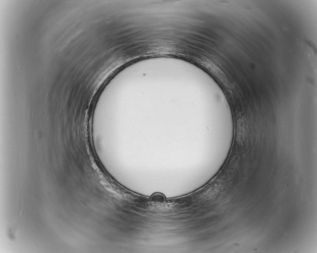 X0000101671039200807311453