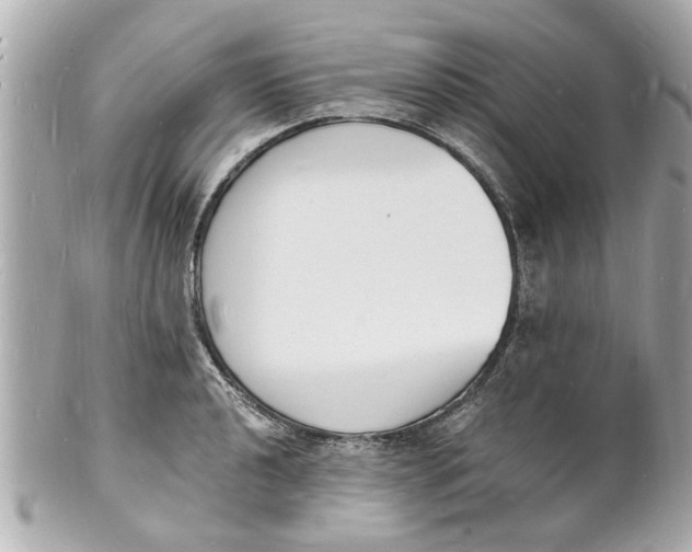 X0000101671040200807311453