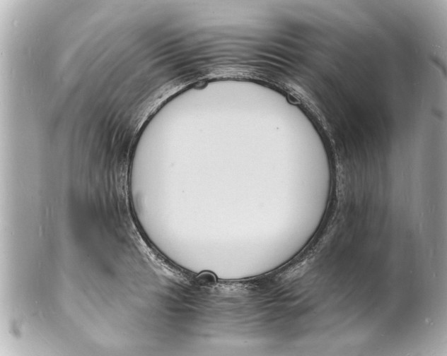 X0000101671041200807311453