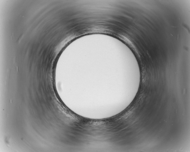 X0000101671043200807311453