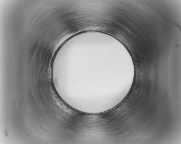 X0000101671044200807311453