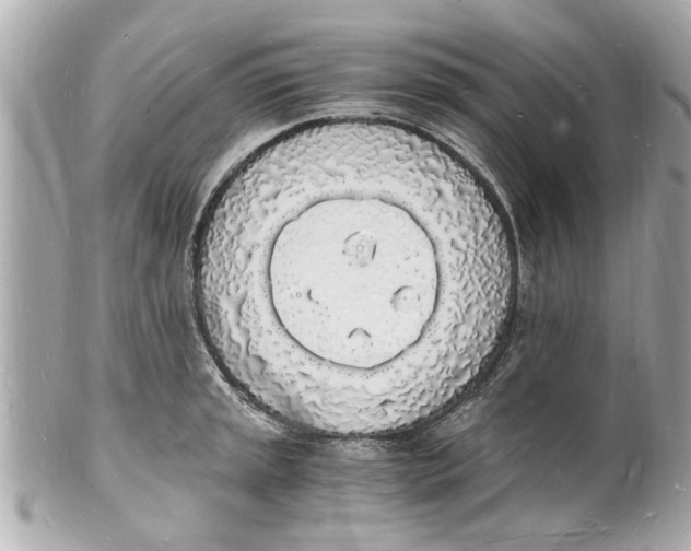X0000101671045200807311453