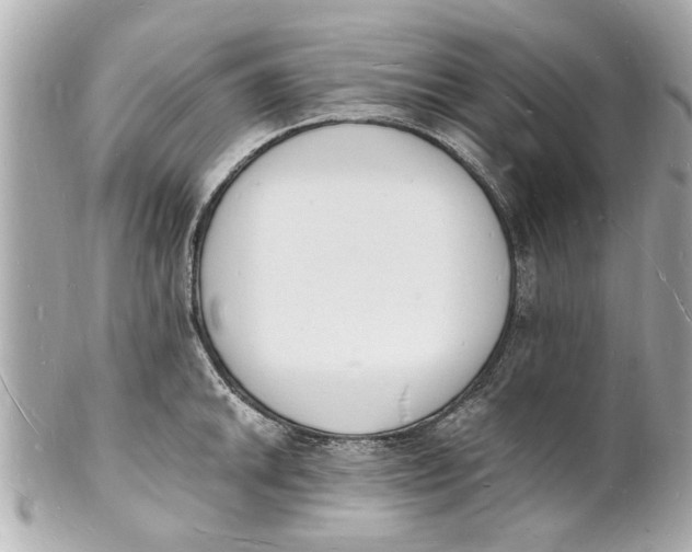 X0000101671046200807311453