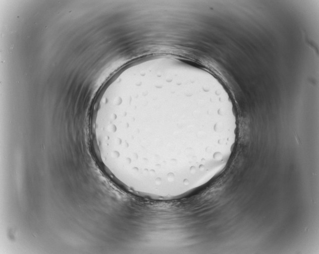 X0000101671048200807311453