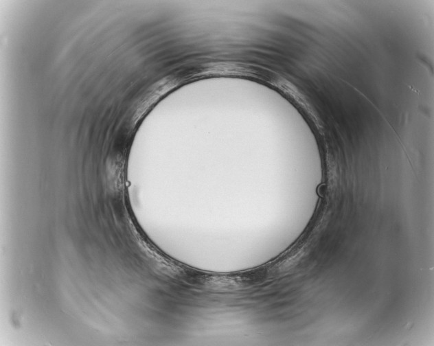 X0000101671049200807311453