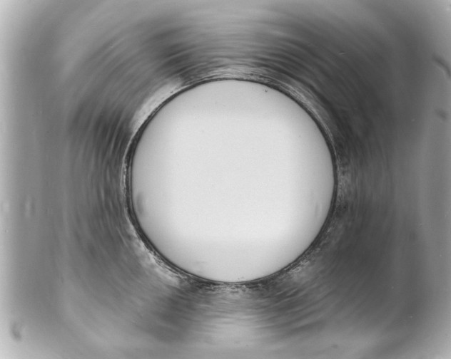 X0000101671050200807311453