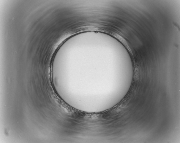 X0000101671051200807311453