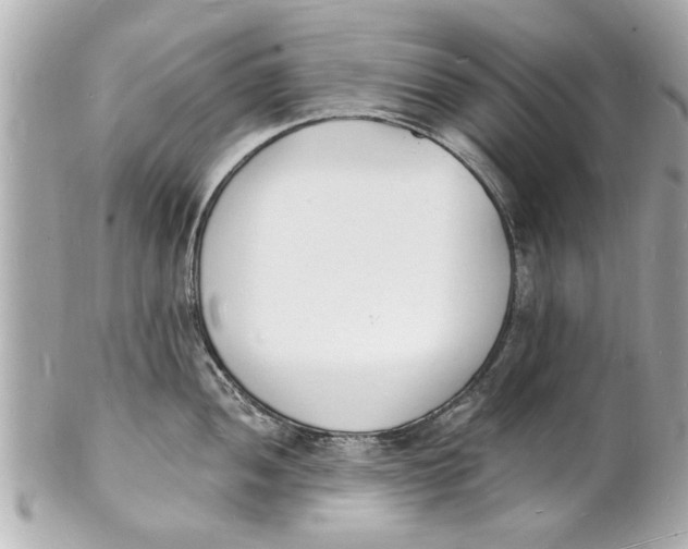 X0000101671052200807311453