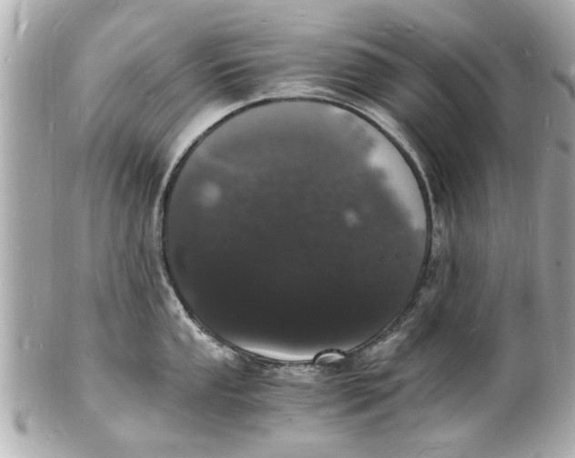 X0000101671053200807311453